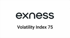 ¿Exness ofrece el Índice de Volatilidad 75 para operar?