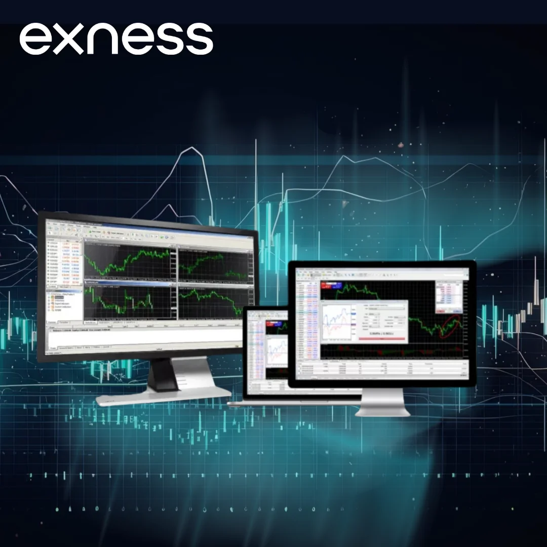 Terminal Web Exness